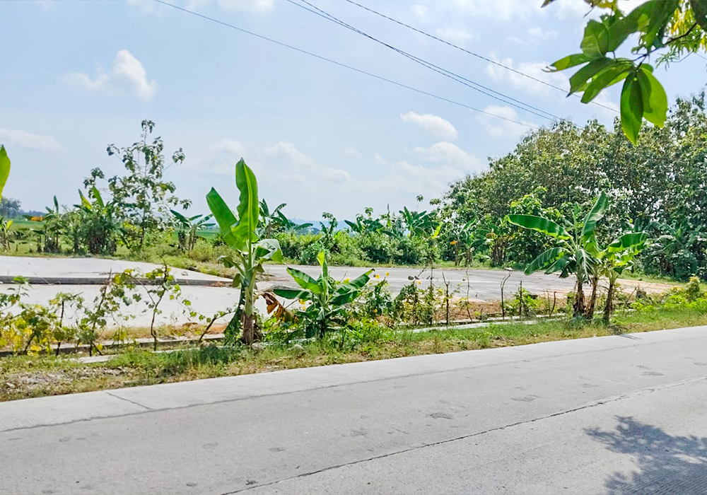 RUMAH DI KAB. GROBOGAN - NPL195-1 - foto 3